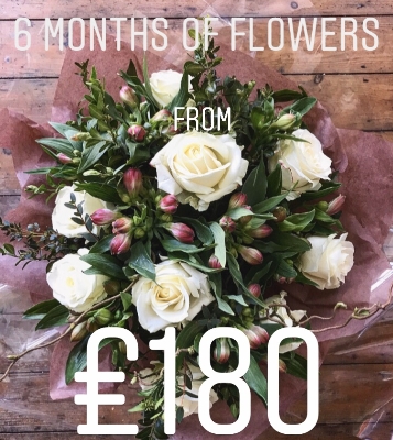 6 month subscription flowers