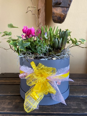 Hat Box Planter