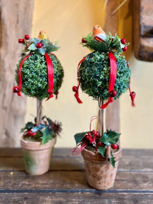 Pair of Christmas Topiary trees (robin)