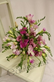 Pink Freesia