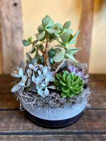 Succulent Glass Bowl Arrangement