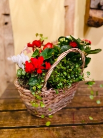 Christmas Cheer Planted Basket