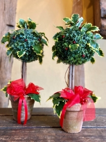Pair of Christmas Topiary trees ( holly & berries)