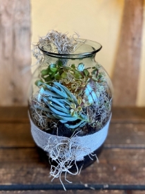 Succulent Vase